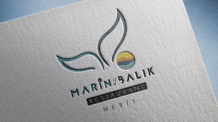 işletmeniz için akılda kalıcı özgün logolar tasarlıyorum
