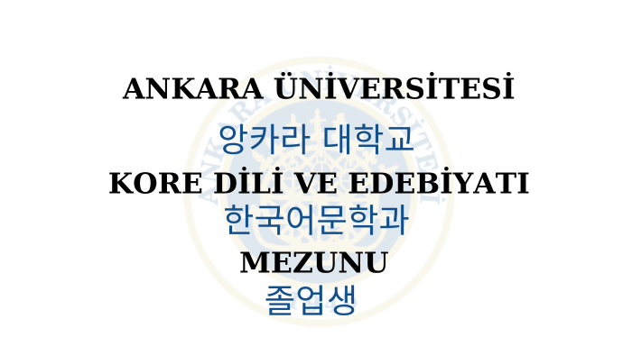 Korece Türkçe İngilizce çeviri yapabilirim