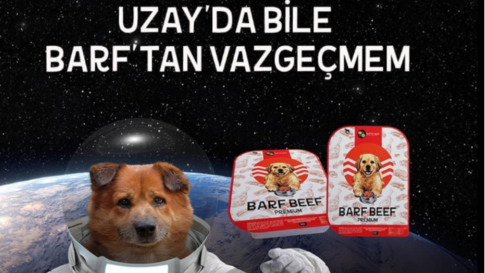 en acil ve en etkili postu senin için tasarlayabilirim