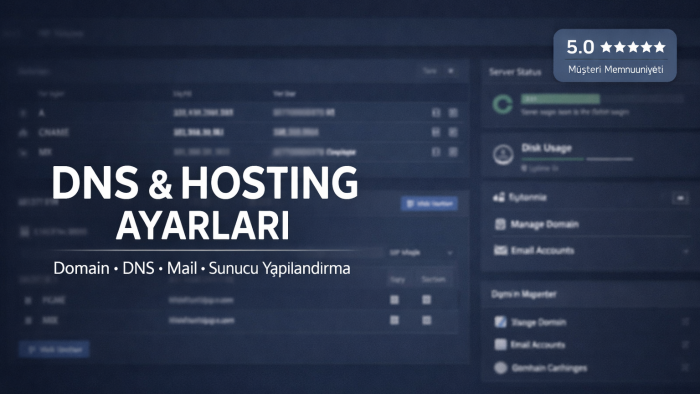 dns ve domain ayarlarınızı yaparım