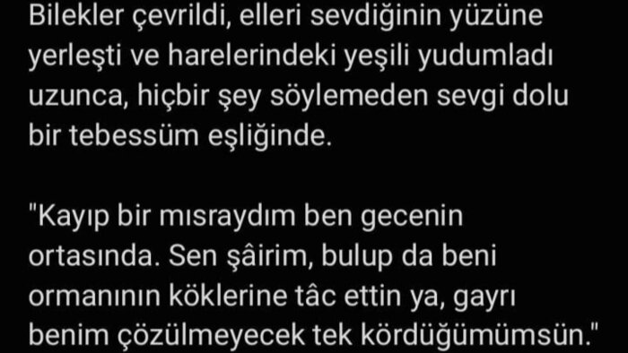 size etkileyici, akıcı ve edebi metin yazarım