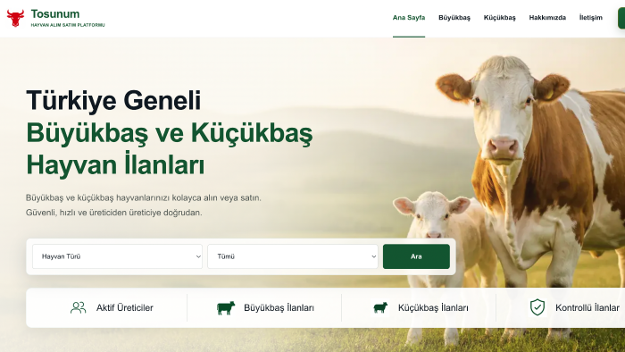 kusursuz çalışan web uygulamaları inşa ederim