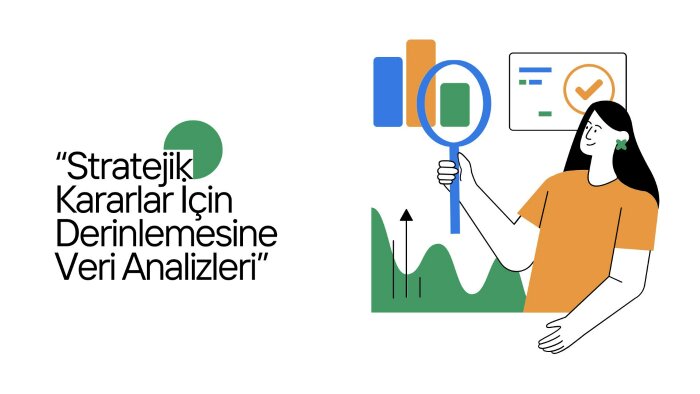 verilerinizi analiz eder görselleştirerek raporlarım