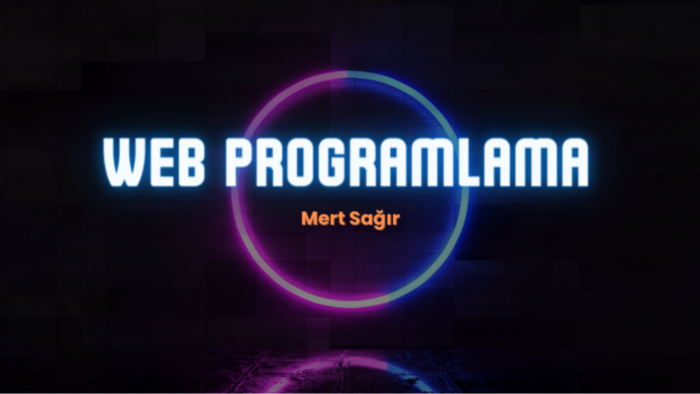 profesyonel web sitesi kodluyorum