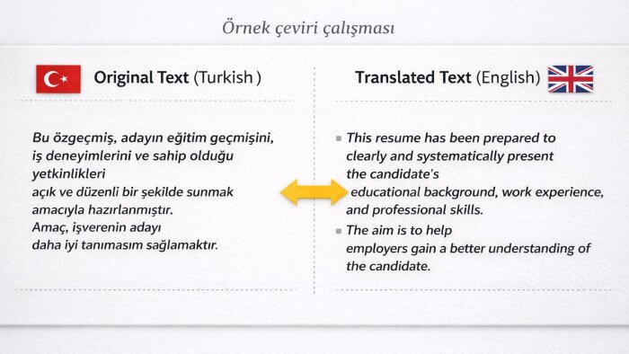 profesyonel CV ve ön yazı çevirisi yaparım