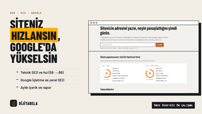 sitenizi hızlandırır ve Google için SEO çalışması yaparım