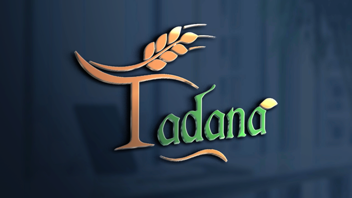 sizler için kurumsal sade logo tasarımı yapabilirim