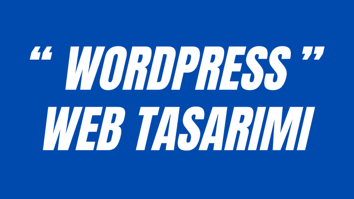 wordpress temalı sitenizi kurarım ve tasarlarım