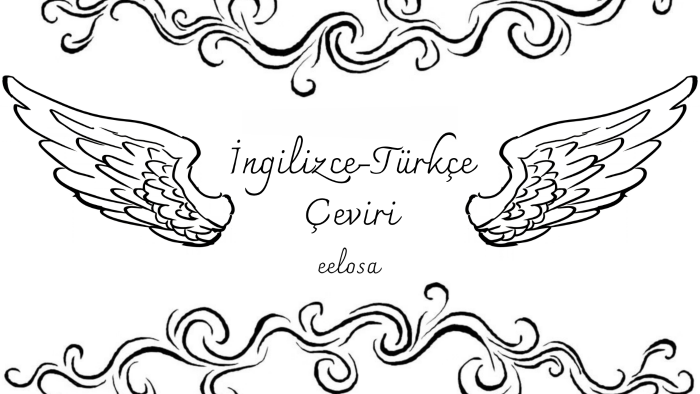 dizi, film ve videolarınıza İngilizce-Türkçe altyazı yaparım