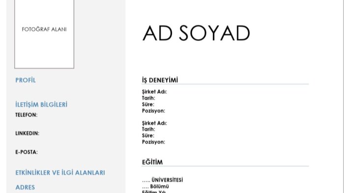 istediğiniz gibi özgeçmiş hazırlayabilirim
