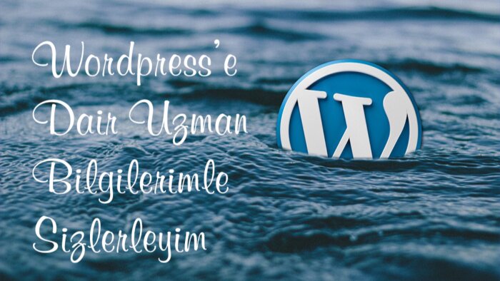 Wordpress web tasarımınızı isteğe göre özelleştiriyorum
