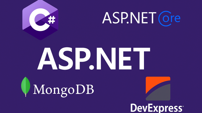 ASP.NET Web Forms projelerinizdeki hataları çözerim