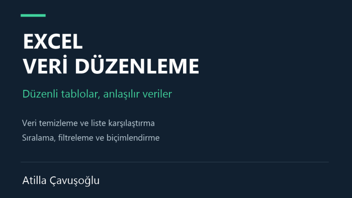 Excel verilerinizi düzenler ve raporlarınızı hazırlarım