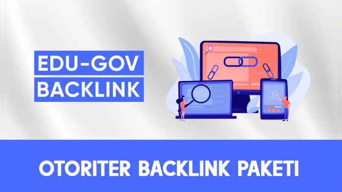edu/gov otoriter backlink çalışması yaparım