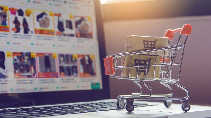 e-ticaret sitenizi yaparım