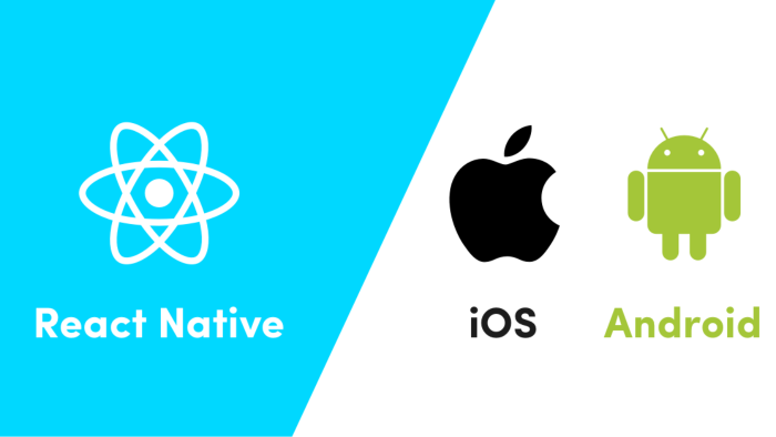 React-Native ile mobil uygulamanızı yazabilirim