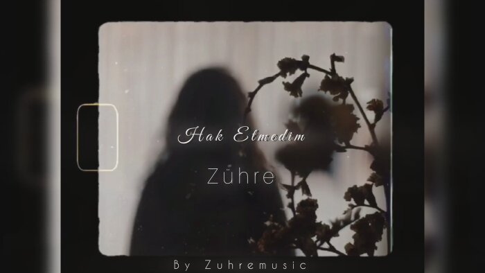 sizin için birçok türde şarkı yapabilirim