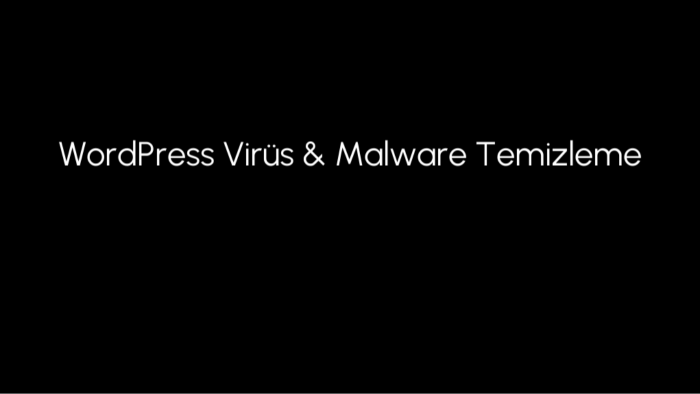 WordPress sitenizdeki virüs ve zararlı kodları temizlerim