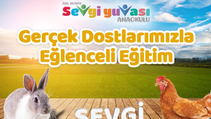 etkileşim arttırıcı sosyal medya tasarımı yapabilirim