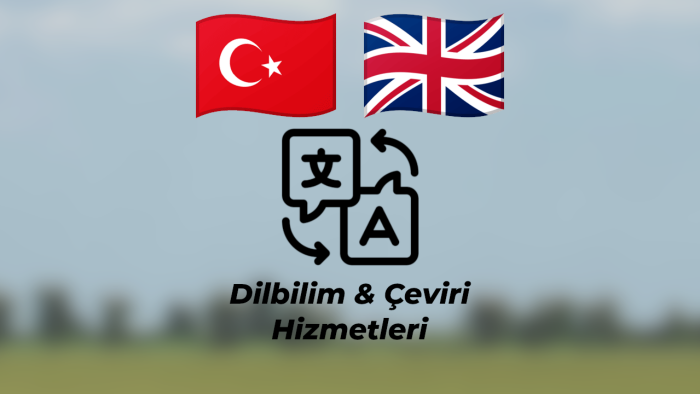 İngilizce-Türkçe çevirilerinizi özenle yaparım