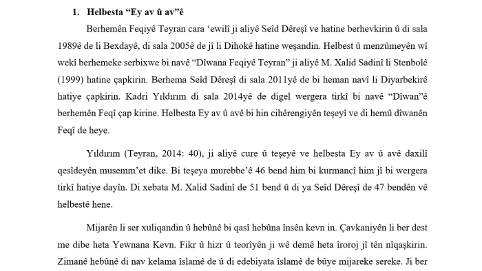 tüm Kürtçe (Kurmancî) metinlerinizi redakte edebilirim