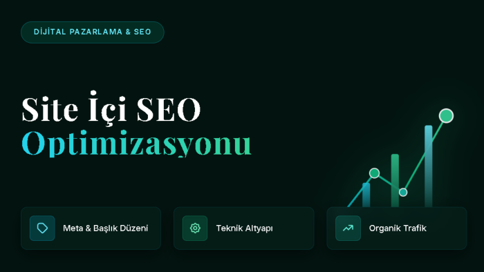 web siteniz için profesyonel SEO optimizasyonu yaparım