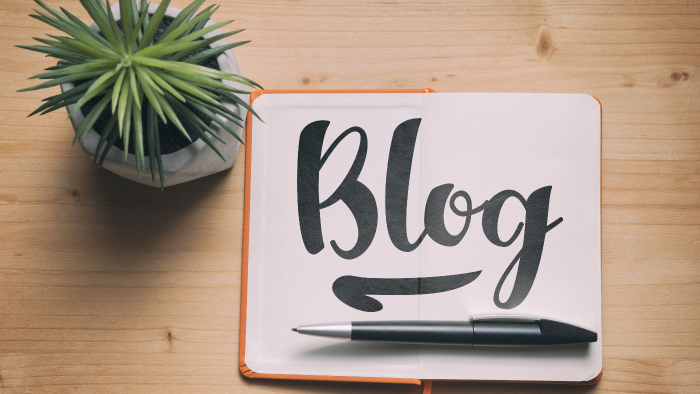 istediğiniz konuda blog yazısı yazabilirim