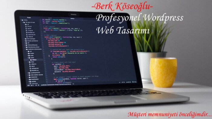 seo uyumlu profesyonel web sitesi tasarlarım
