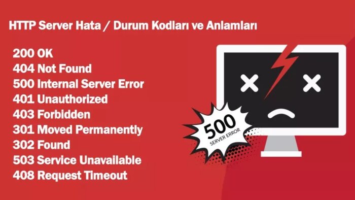 web sitelerinizde yaşadığınız tüm hataları giderebilirim