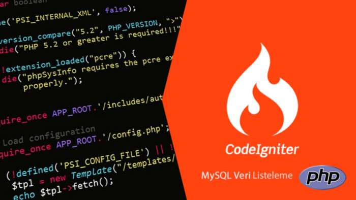 sizin için özel kodlanmış websitesi yazabilirim