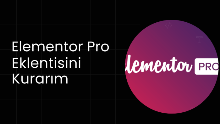 sitenize Elementor Pro kurabilirim