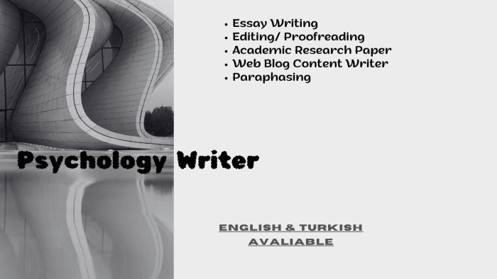 Türkçe - İngilizce profesyonel ve özgün çeviri yapıyorum