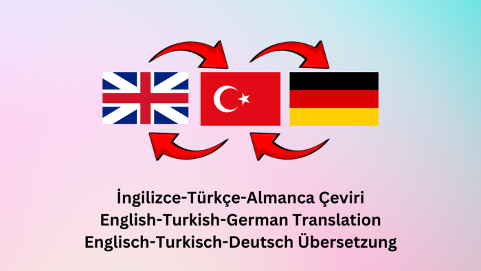 teknik alanlarda çeviri yapmaktayım