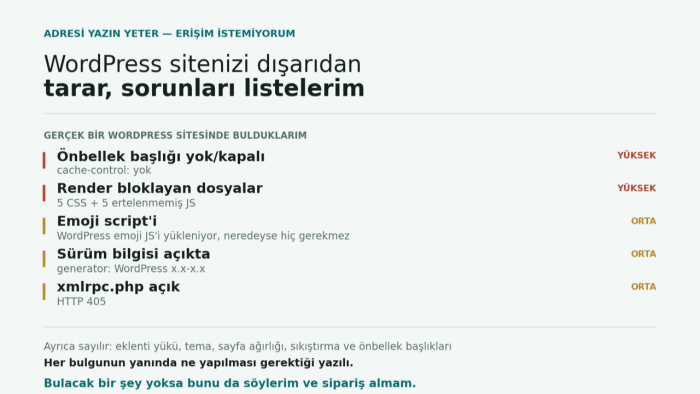 sitenizin wordpress sorunlarını tespit edip hızlandırırım