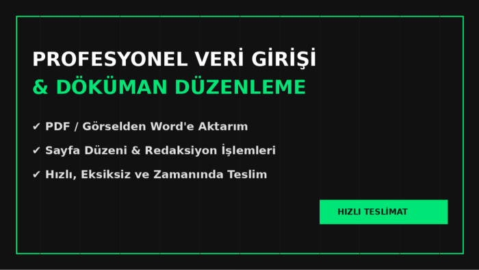profesyonel veri girişi pdf ve word düzenleme yapabilirim