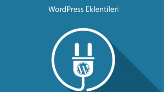 sizin için wordpress eklentisi oluşturabilirim
