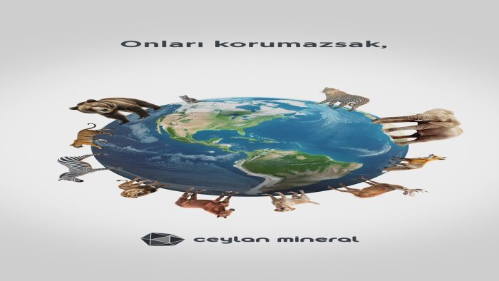 sizler için etkili sosyal medya tasarımları yapabilirim