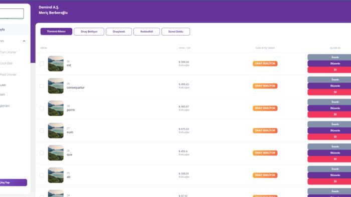 özel kodlanmış ve fonksiyonel bir website yaparım