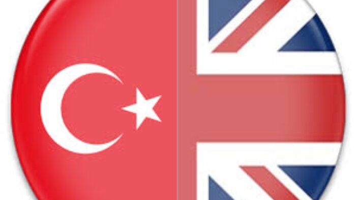 İngilizce-Türkçe dilleri arasında çeviri yapıyorum