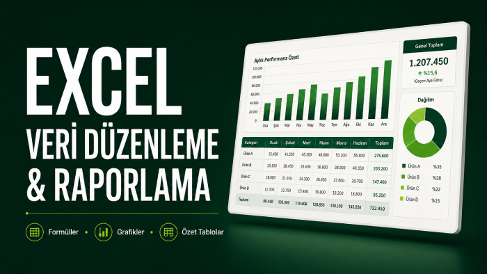düzenli ve profesyonel Excel tabloları hazırlarım