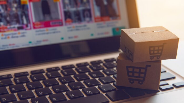webve e-ticaret sitelerine veri ve ürün girişi yaparım
