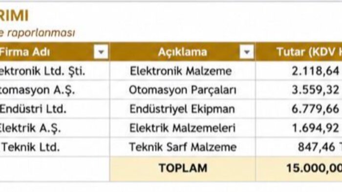 pdf'den excel'e veri aktarımı yaparım