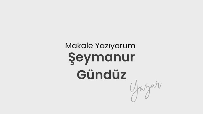 makale yazarlığı yapıyorum