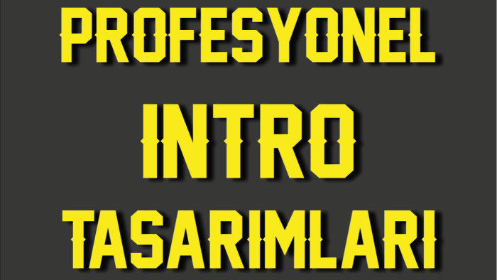 sanatsal profesyonelliği sağlarım