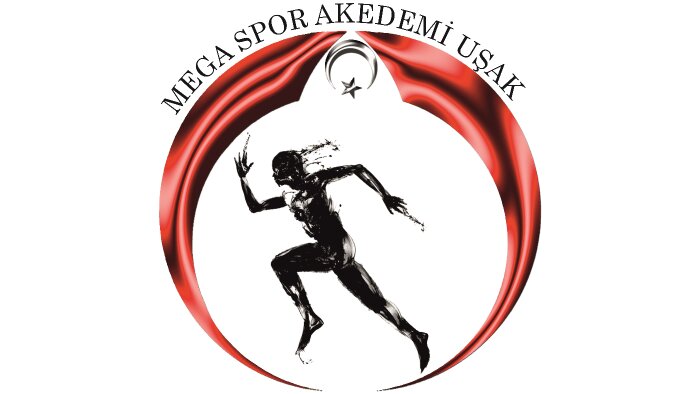 uygun fiyatlı logolar tasarlarım