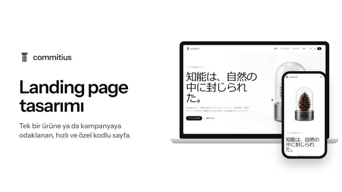 ürününüze ya da kampanyanıza özel landing page kodlarım