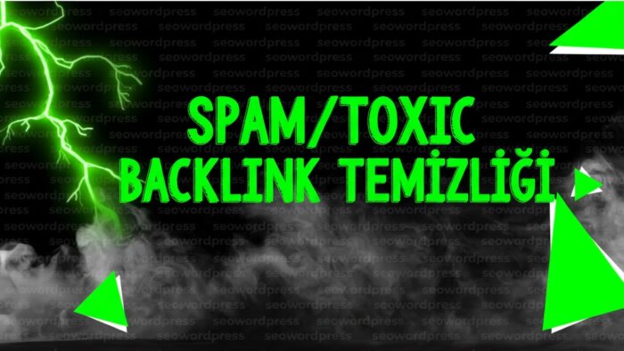 spam toxic backlink temizlemesi yapıyorum