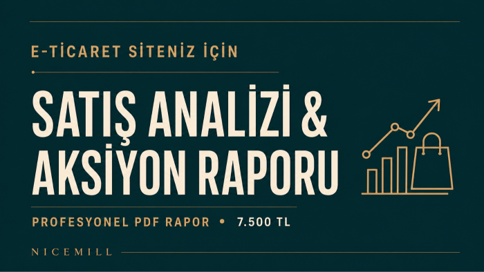 e-ticaret sitenizi analiz edip satış raporu hazırlarım