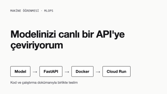 yapay zeka modelleri eğitiyorum, son kullanıcıya sunuyorum