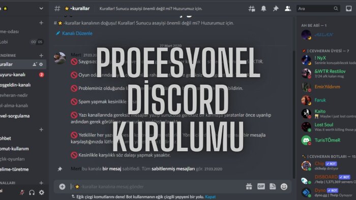 profesyonel discord sunucusu kurarım